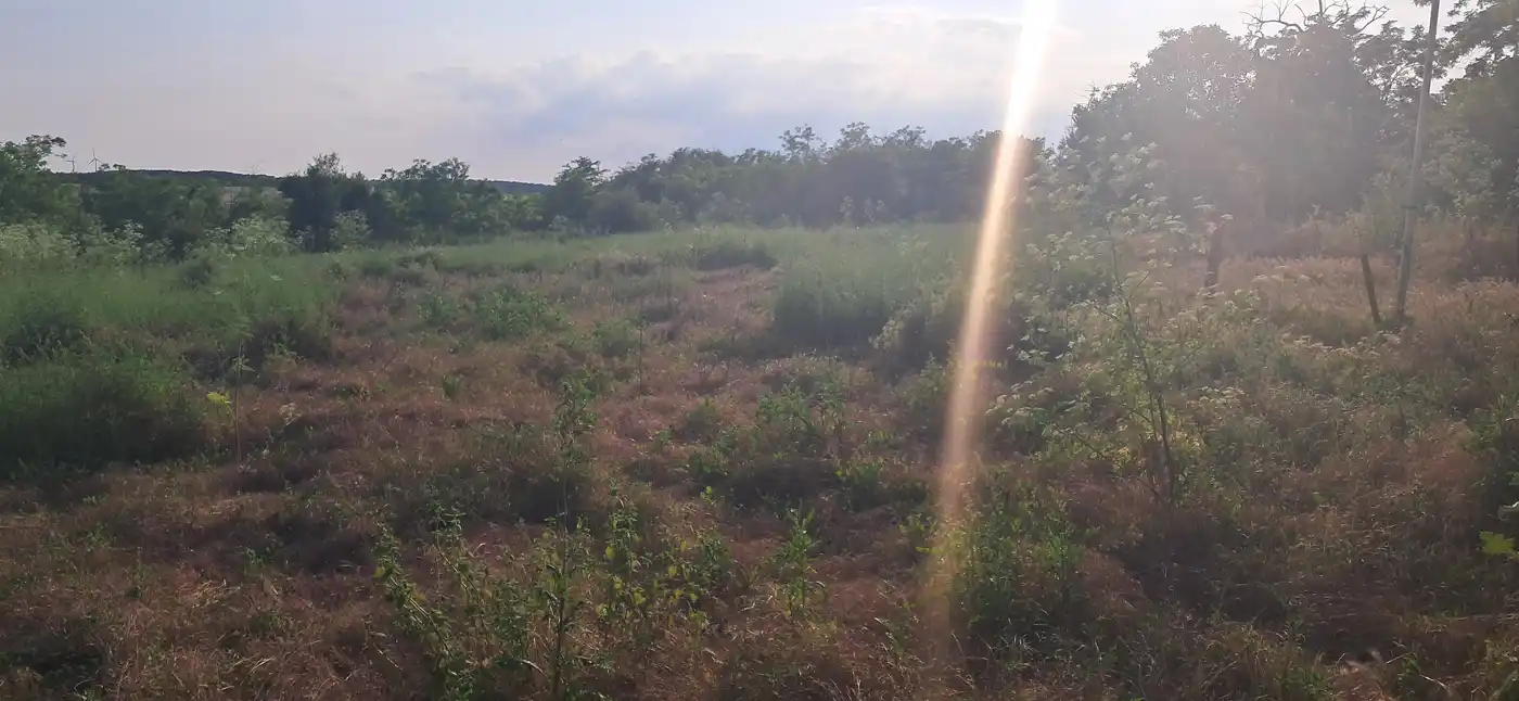 <p>Raum vorbereitet zum Ausbau</p>