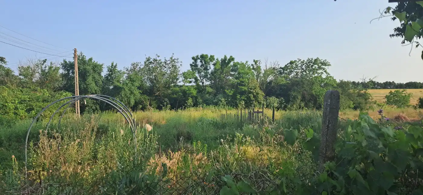 <p>Raum vorbereitet zum Ausbau</p>